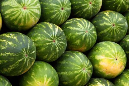 watermelons-blood-glucose