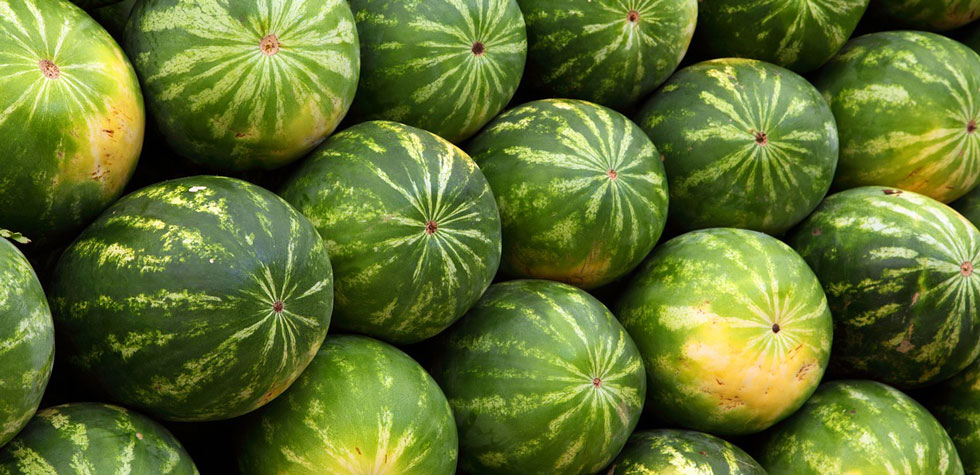 watermelons-blood-glucose